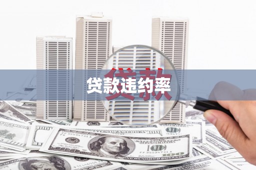 大安贷款违约率