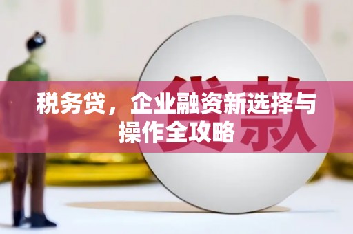 大安税务贷，企业融资新选择与操作全攻略