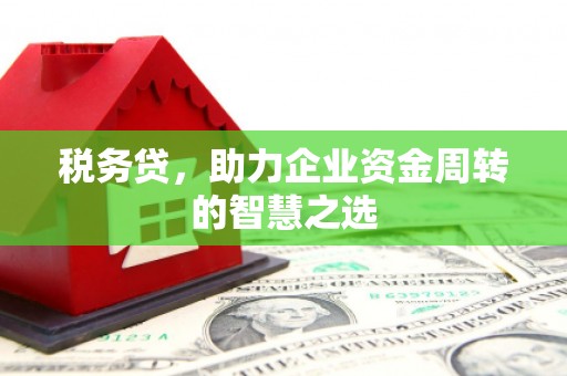 大安税务贷，助力企业资金周转的智慧之选