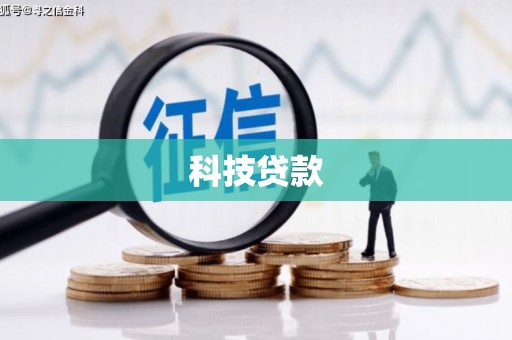 大安科技贷款