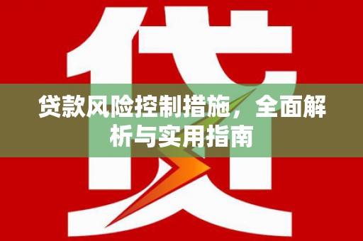 大安贷款风险控制措施，全面解析与实用指南