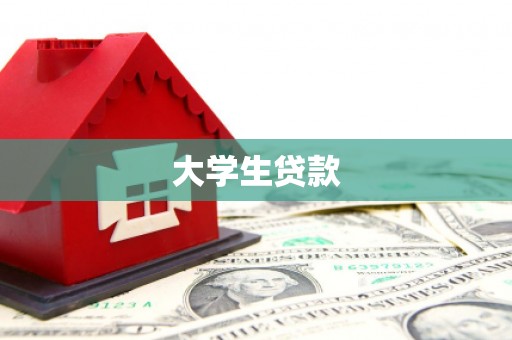 大安大学生贷款