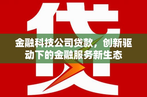 大安金融科技公司贷款，创新驱动下的金融服务新生态