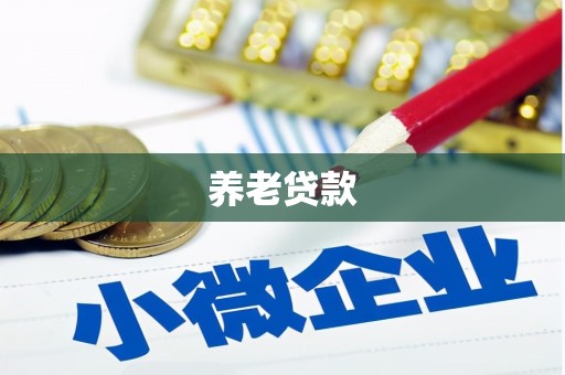 大安养老贷款