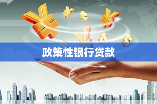 大安政策性银行贷款