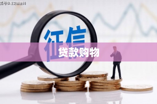 大安贷款购物