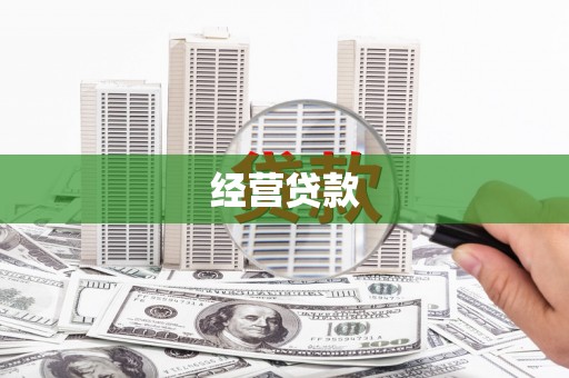 大安经营贷款