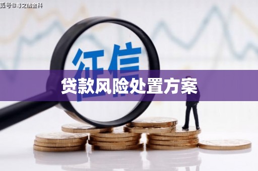 大安贷款风险处置方案