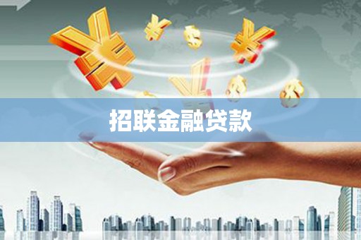 大安招联金融贷款