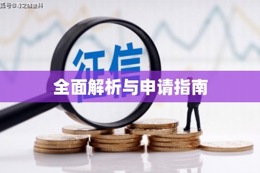 大安全面解析与申请指南