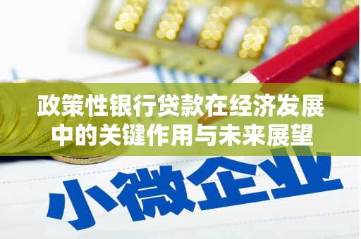 大安政策性银行贷款在经济发展中的关键作用与未来展望