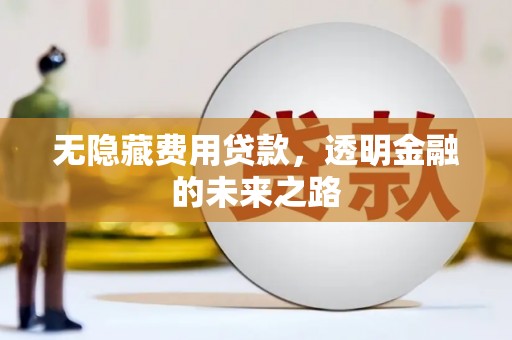 大安无隐藏费用贷款，透明金融的未来之路