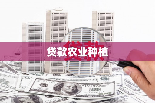 大安贷款农业种植