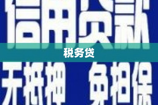 大安税务贷