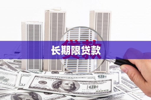 大安长期限贷款