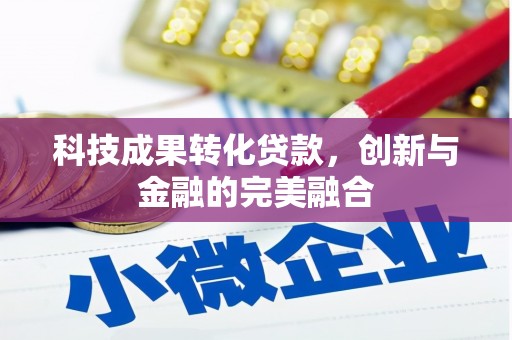 大安科技成果转化贷款，创新与金融的完美融合
