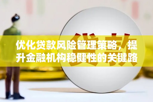 大安优化贷款风险管理策略，提升金融机构稳健性的关键路径