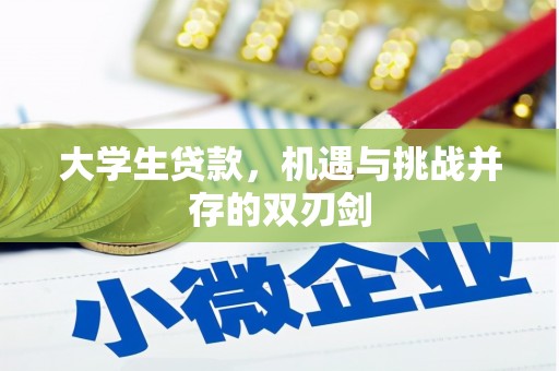 大安大学生贷款，机遇与挑战并存的双刃剑
