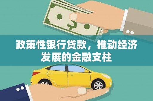 大安政策性银行贷款，推动经济发展的金融支柱