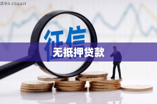 大安无抵押贷款