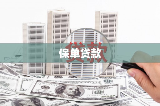 大安保单贷款