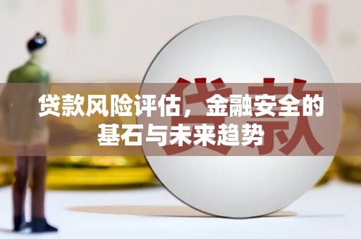 大安贷款风险评估，金融安全的基石与未来趋势