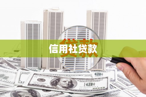 大安信用社贷款