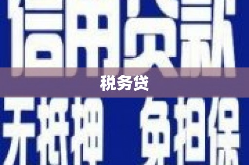 大安税务贷