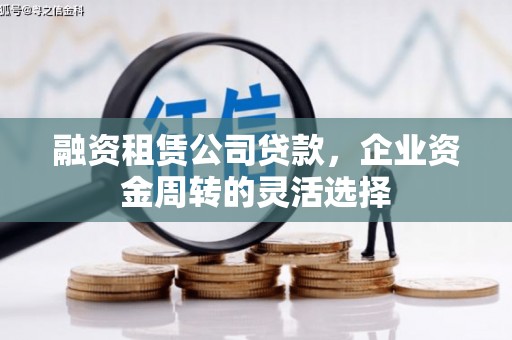 大安融资租赁公司贷款，企业资金周转的灵活选择