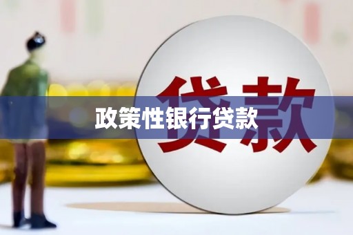 大安政策性银行贷款