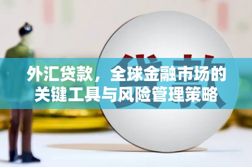 大安外汇贷款，全球金融市场的关键工具与风险管理策略