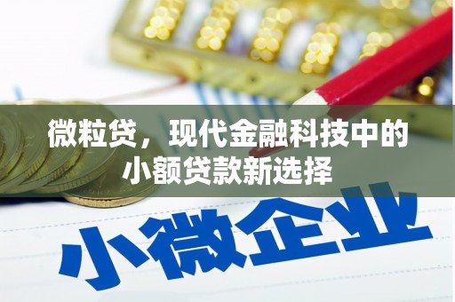 大安微粒贷，现代金融科技中的小额贷款新选择