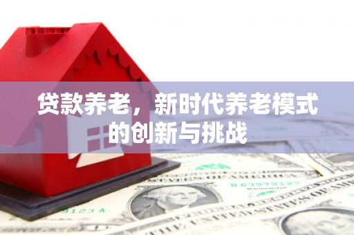 大安贷款养老，新时代养老模式的创新与挑战