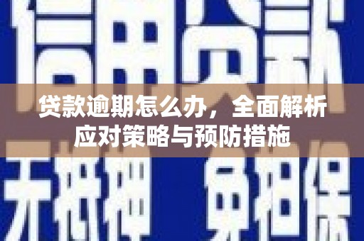 大安贷款逾期怎么办，全面解析应对策略与预防措施