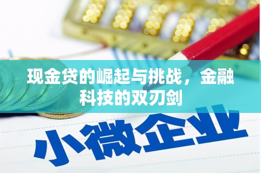 大安现金贷的崛起与挑战，金融科技的双刃剑