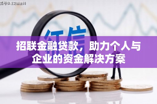 大安招联金融贷款，助力个人与企业的资金解决方案