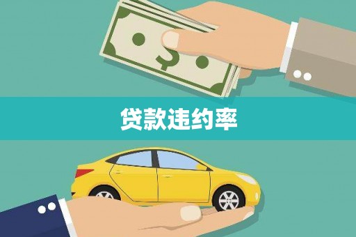 大安贷款违约率