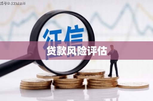 大安贷款风险评估