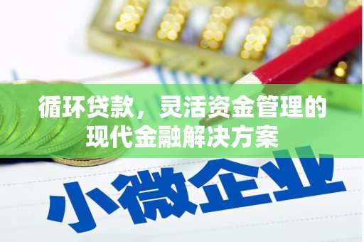 大安循环贷款，灵活资金管理的现代金融解决方案