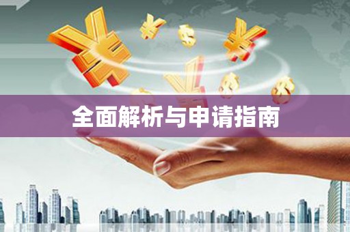 大安全面解析与申请指南