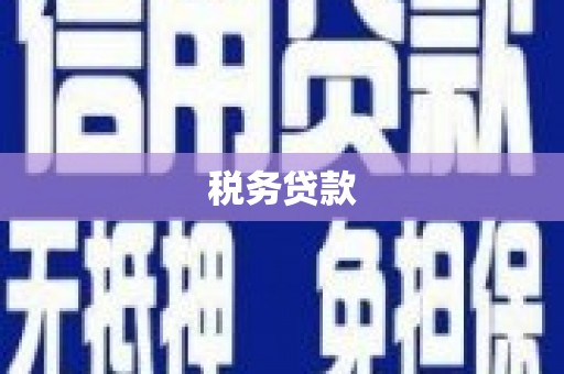 大安税务贷款