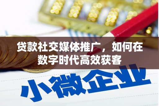 大安贷款社交媒体推广，如何在数字时代高效获客