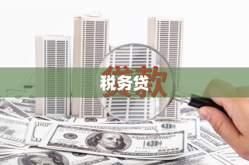 大安税务贷