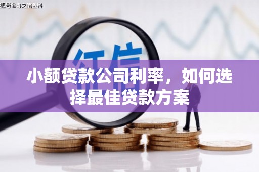 大安小额贷款公司利率，如何选择最佳贷款方案