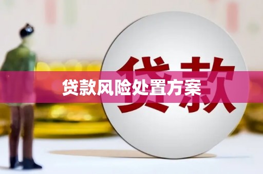 大安贷款风险处置方案