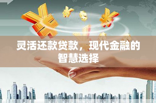 大安灵活还款贷款，现代金融的智慧选择