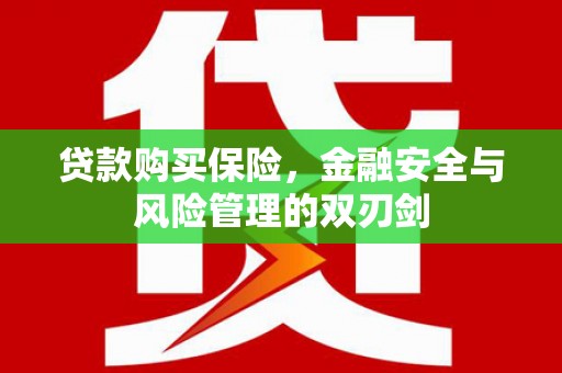 大安贷款购买保险，金融安全与风险管理的双刃剑