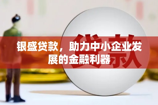大安银盛贷款，助力中小企业发展的金融利器