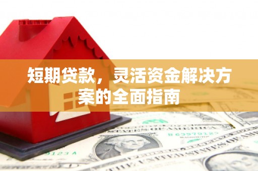 大安短期贷款，灵活资金解决方案的全面指南