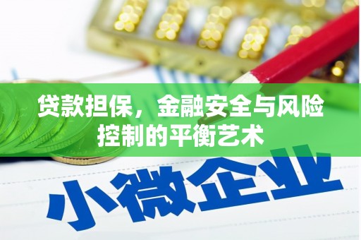 大安贷款担保，金融安全与风险控制的平衡艺术